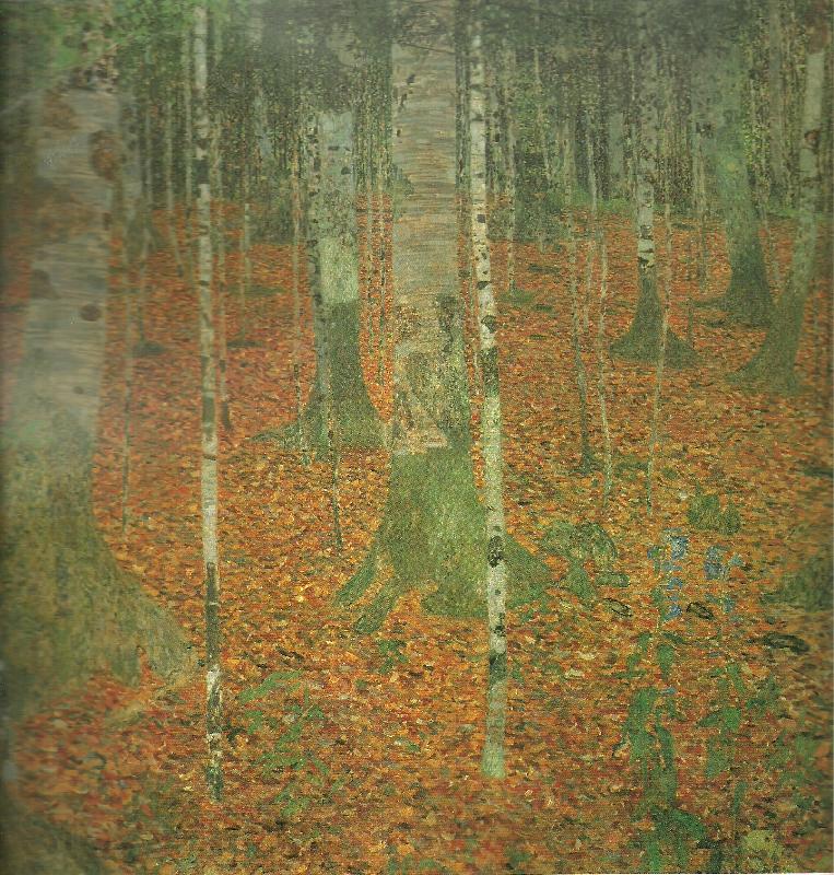 Gustav Klimt bondgard med bjorkar Germany oil painting art